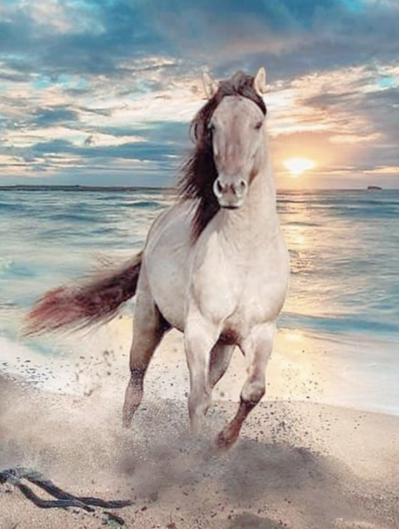 Cutting at the seaside