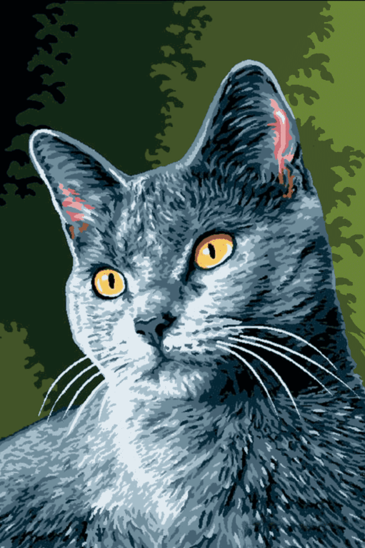 Cat Portrait Series: Enzo