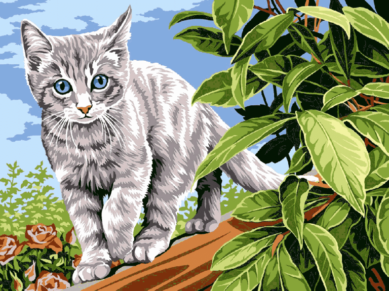 Naughty little kitten