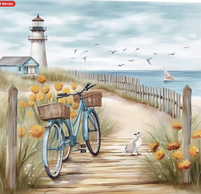 Bicycle at the Lighthouse