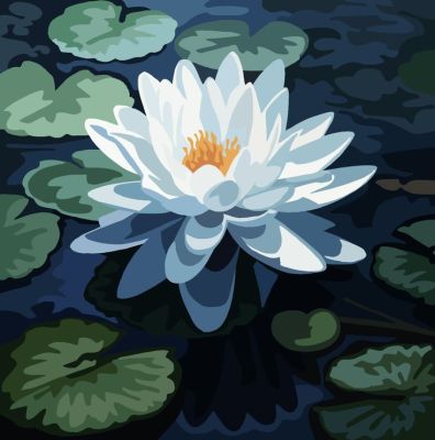 Water Lily