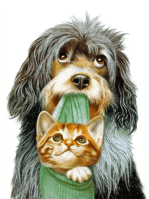 Dog - cat friendship