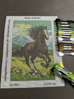 The Galloping Stallion